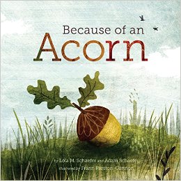 acorn