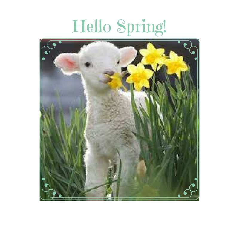 Hello Spring!