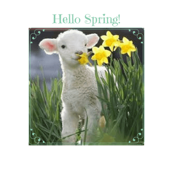 Hello Spring!