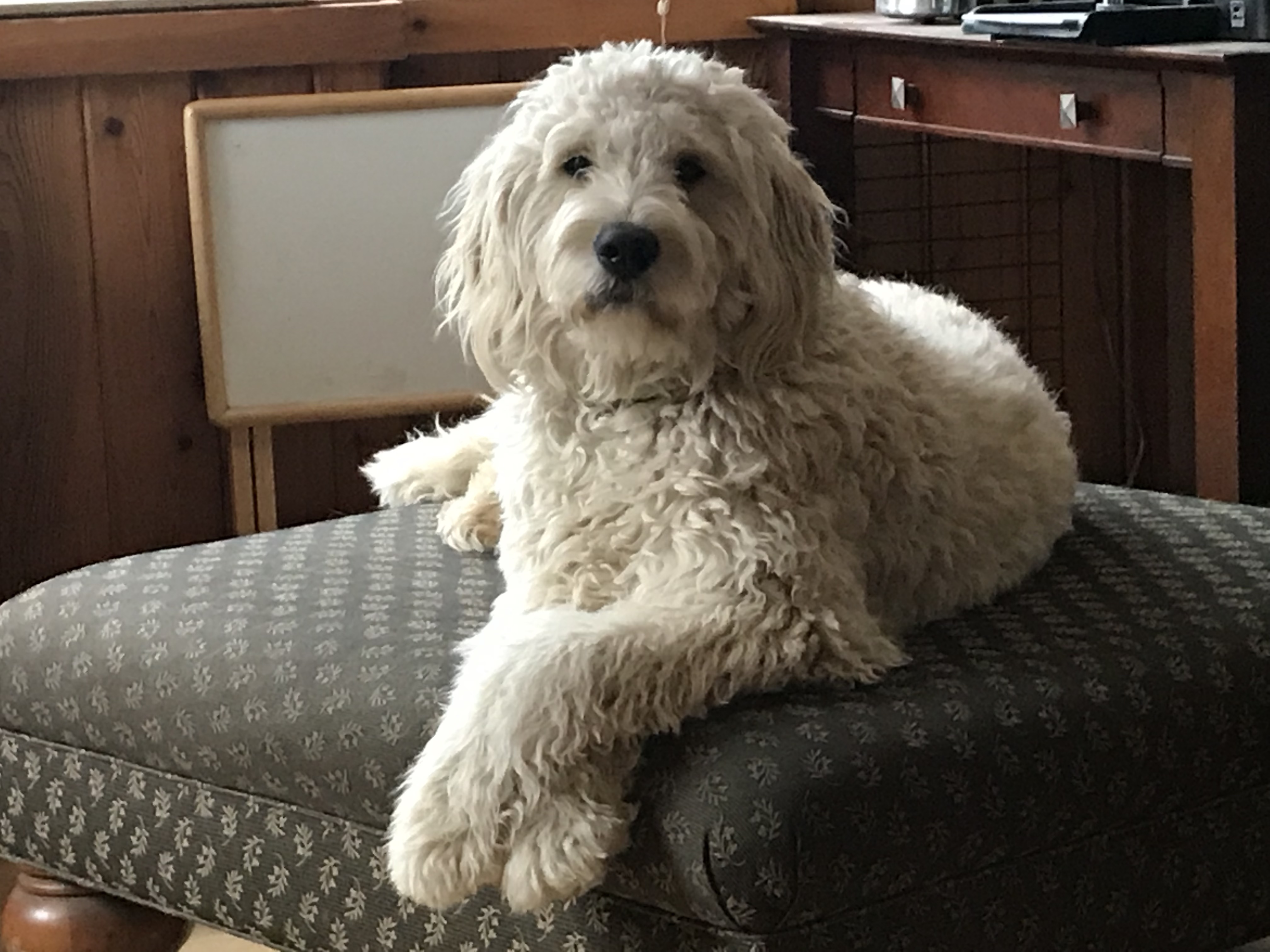 yA%gipxRR2qEypot%WuhSQ