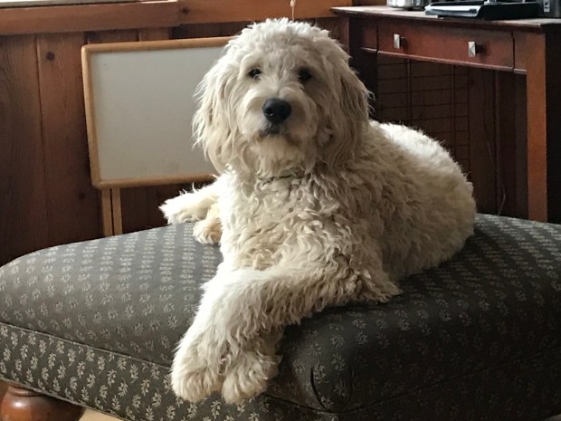 yA%gipxRR2qEypot%WuhSQ