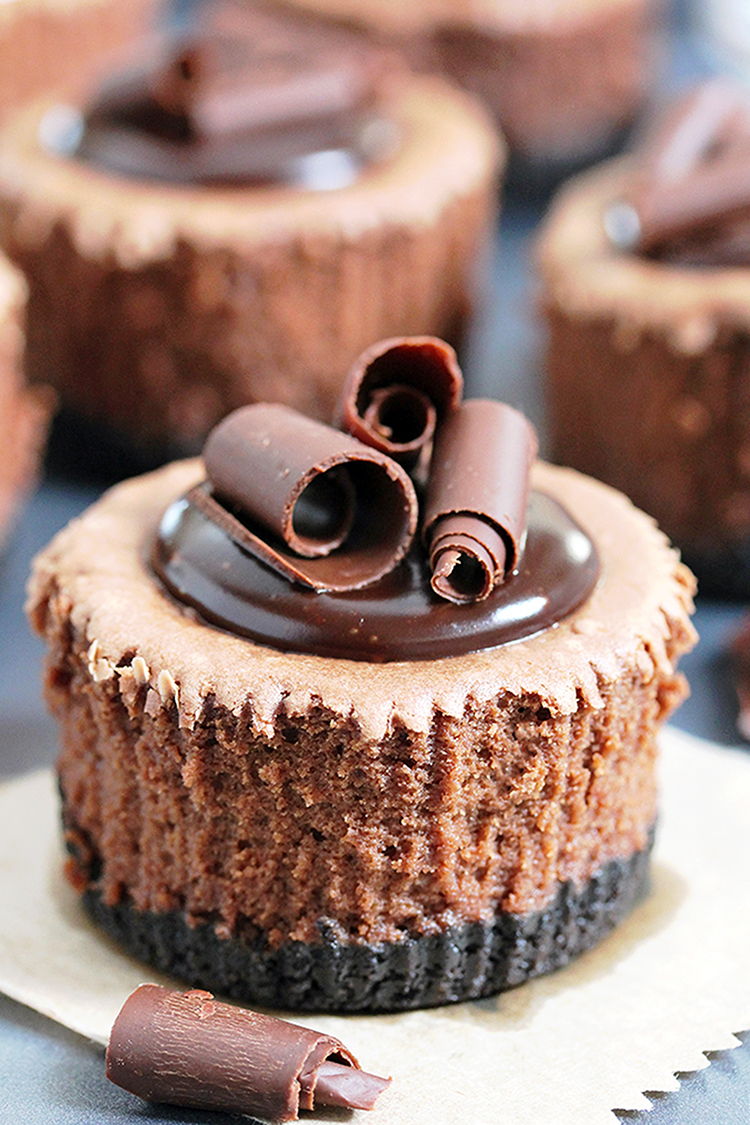 chocolate mini cheesecake