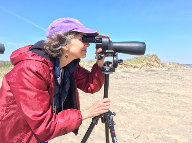 Susan Edwards Richmond_birding with scope