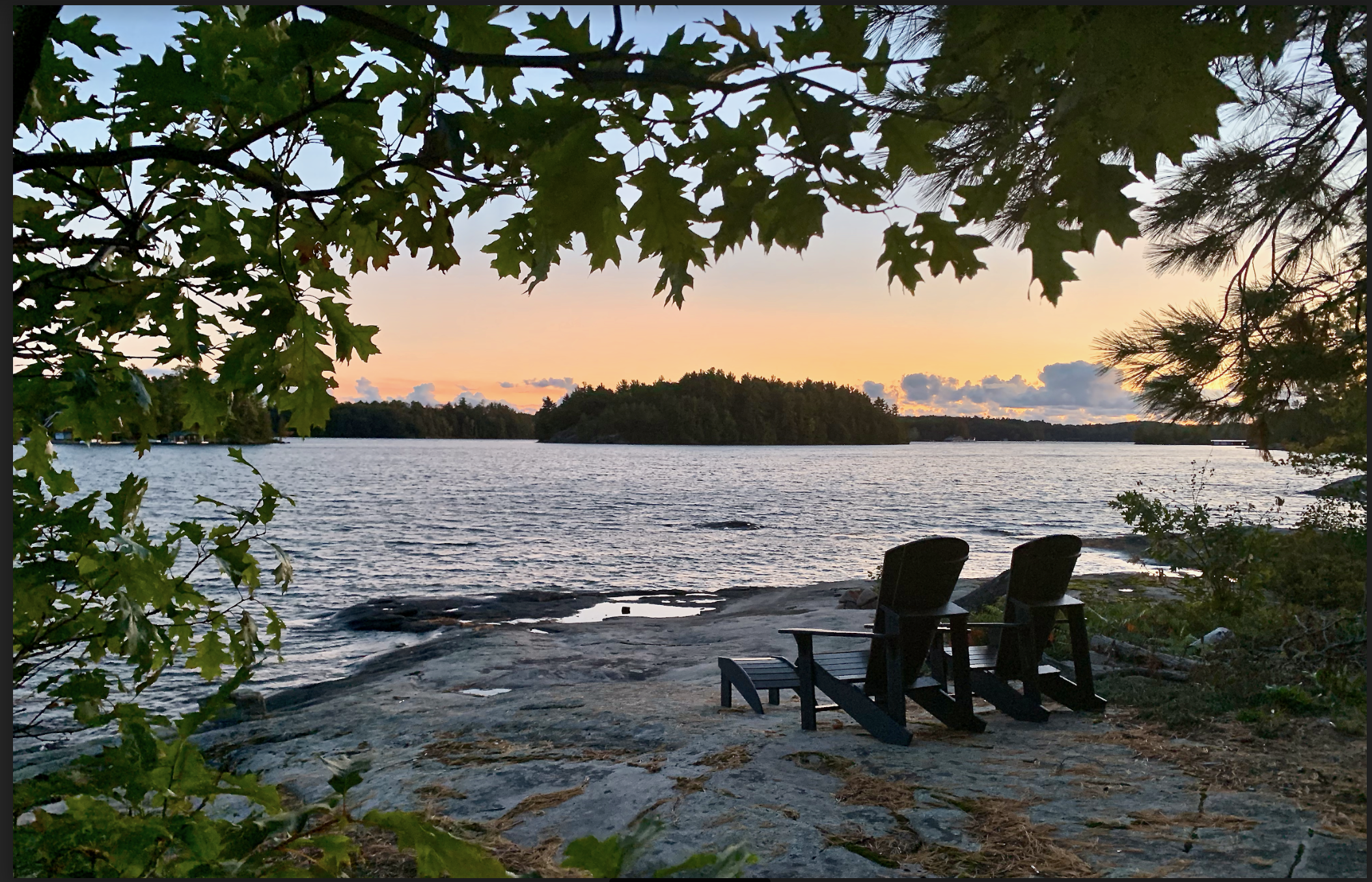 Screen Shot 2019-11-07 at 8.12.13 PM