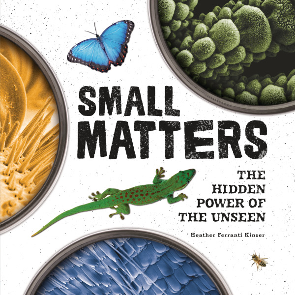 SmallMattersApprovedCoverImage