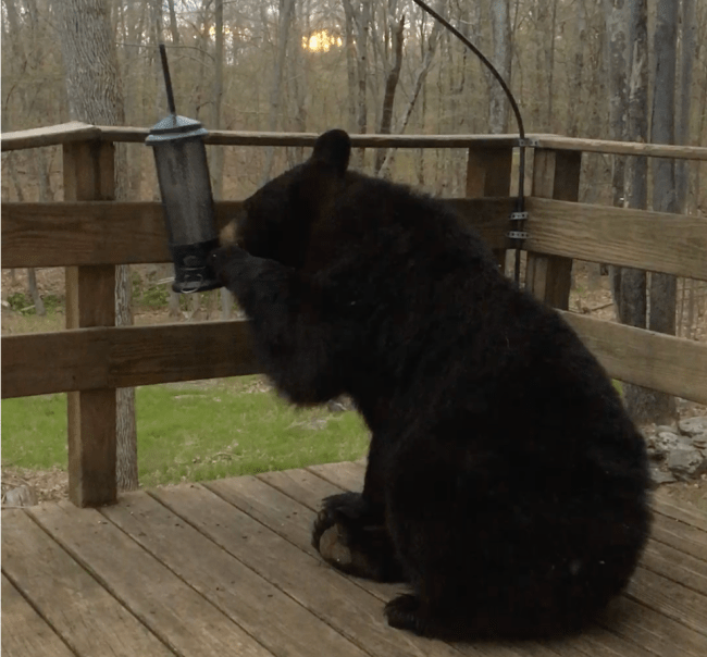 E66E3A9B-170C-47C1-9C27-FA66F99E76D1