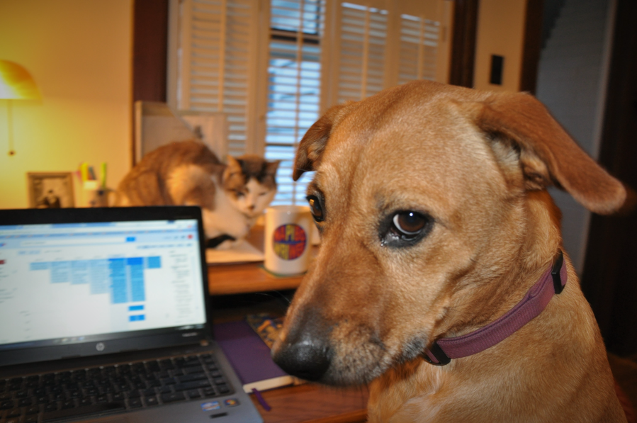 Gabi work space writing buddies