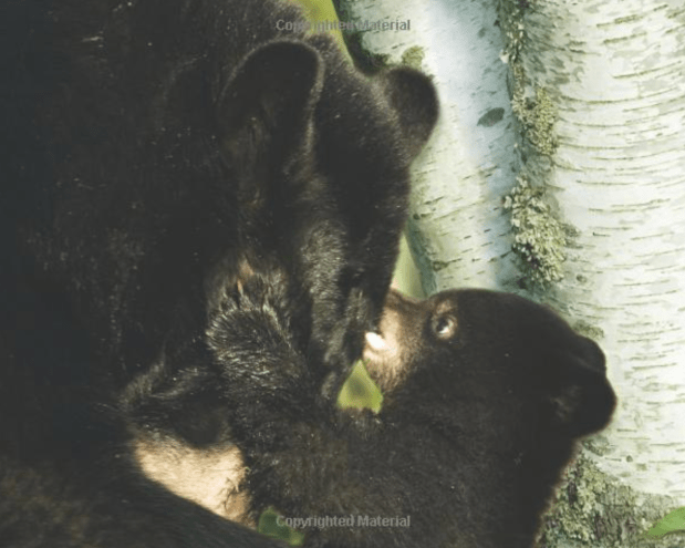 Screen Shot 2020-05-14 at 8.55.05 PM