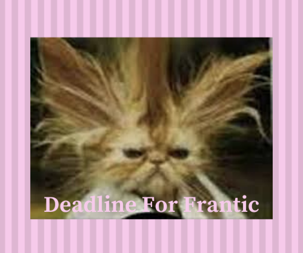 Screen Shot 2020-05-28 at 8.55.08 PM