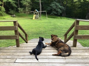 ab3d3f2b-f77c-464f-bcd6-d55e2b879b93_1_105_c