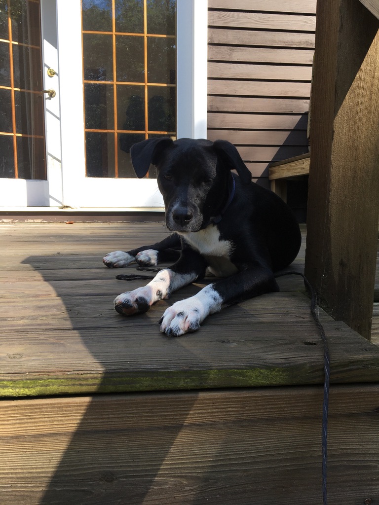 ebebc3b5-9be8-491d-9fd5-b6892cd58984_1_105_c